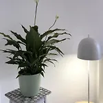 Feinzeit Bella Nella - Zentral, Ruhig, Frei Parken! Apartmán